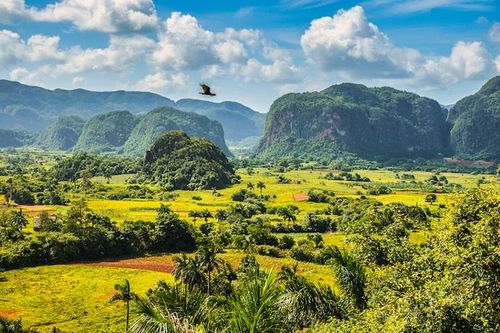 Venture Beyond the Tourist Trail: Explore Cuba’s Hidden Gem – Viñales – with Hola Sun