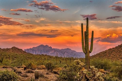 Visit Phoenix eyes Canadian growth as new hotels and attractions take shape