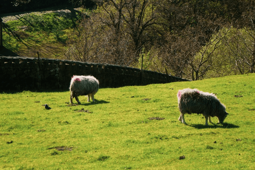 VisitBritain stärkt internationalen Tourismus in Nordengland und Nordwales