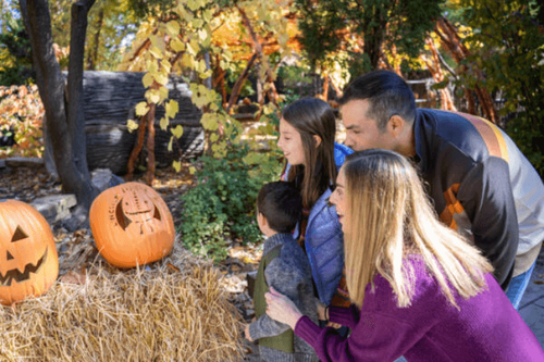 What’s new and happening in Chicago – fall 2025 / winter 2026