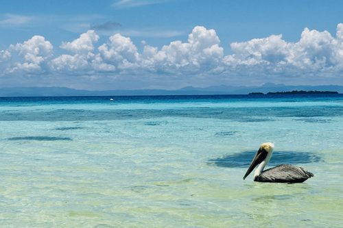 Why Belize in the off-season is the best-kept secret in the Caribbean