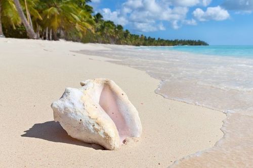 Adventures Finder DMC: Saona Island promo