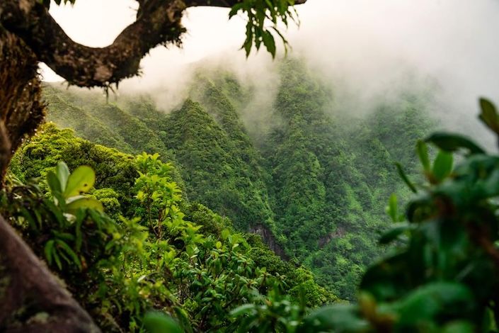 St. Kitts receives double honours at Caribbean Journal’s 2026 Caribbean Travel Awards