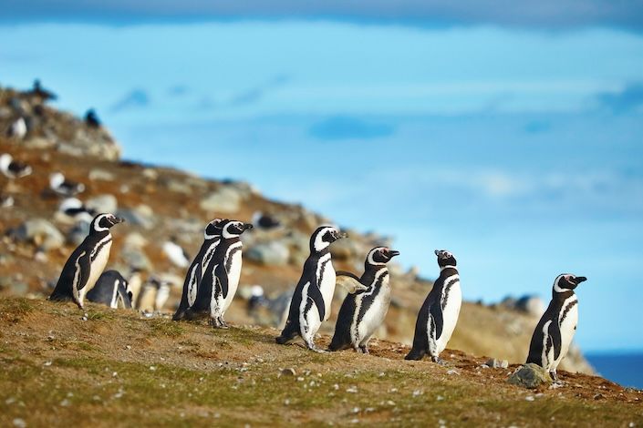 Tara Tours' Tango, Wines & Deluxe Patagonia Cruise FAM 2026
