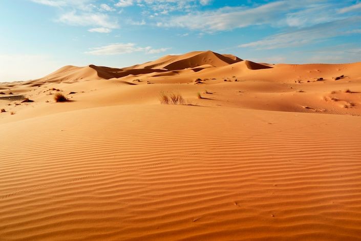 tours-specialists-morocco-fams-2026-3.jpeg
