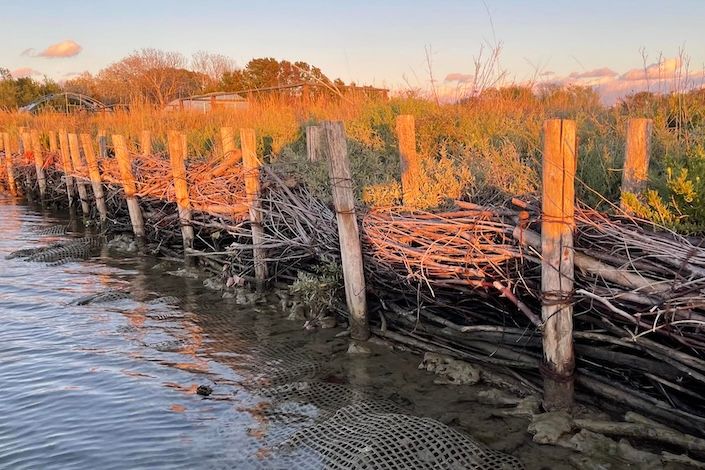 TreadRight Foundation’s newest partner uses nature-based solutions to safeguard Venice’s salt marshes