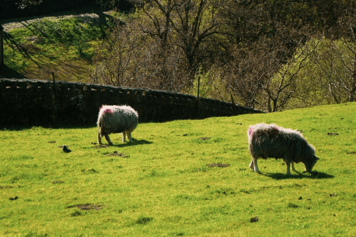 VisitBritain stärkt internationalen Tourismus in Nordengland und Nordwales