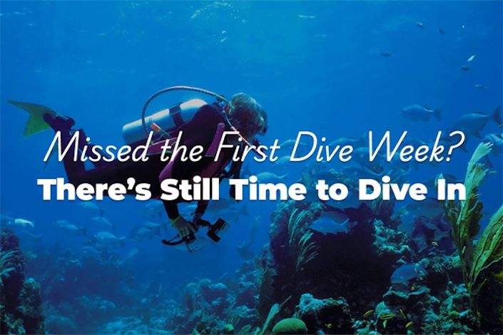 Viva Diving Weeks + 45% off for your clients