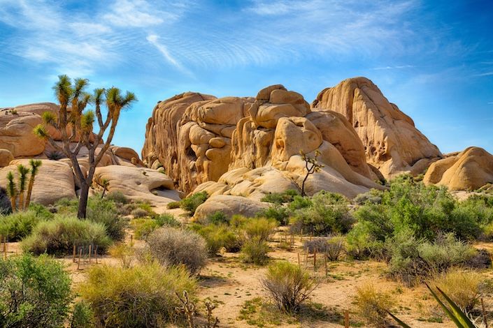 Warm your soul in the California desert