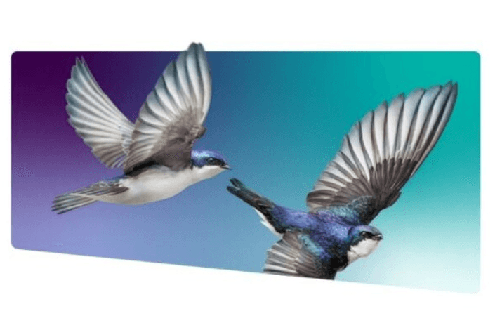 WestJet and TELUS unite rewards programs to bring more value to Canadians through linked loyalty platforms