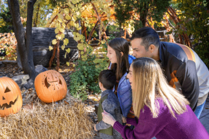 What’s new and happening in Chicago – fall 2025 / winter 2026