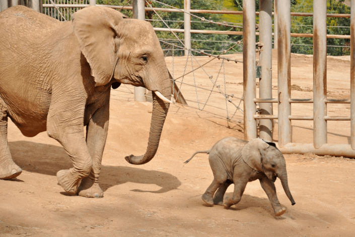 What's new in San Diego winter 2025-26