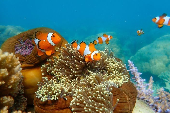 where-next-surin-similan-islands-kata-group-3.jpg